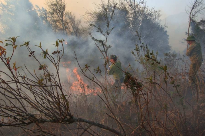 Huy động hơn 800 người chữa cháy rừng ở Sa Pa